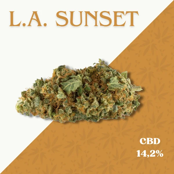 L.A. SUNSET