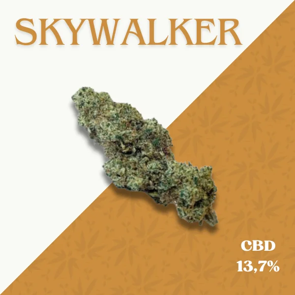 SKYWALKER