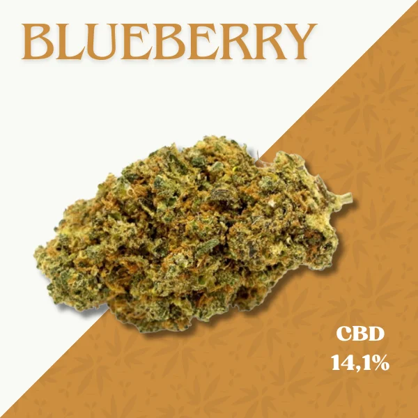 BLUEBERRY
