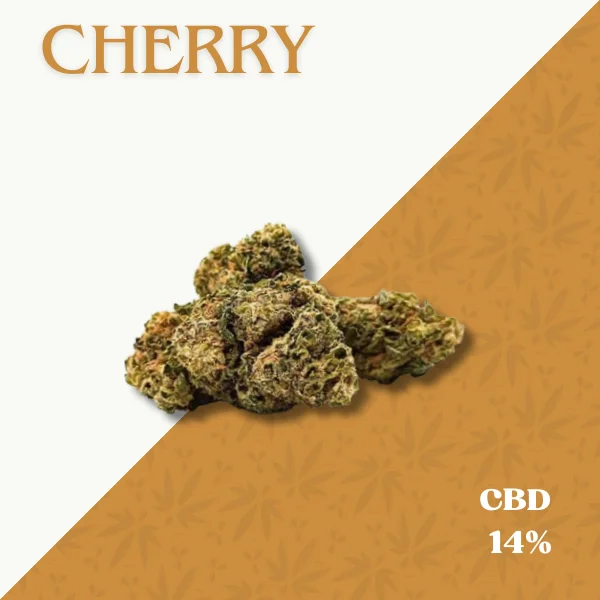 CHERRY