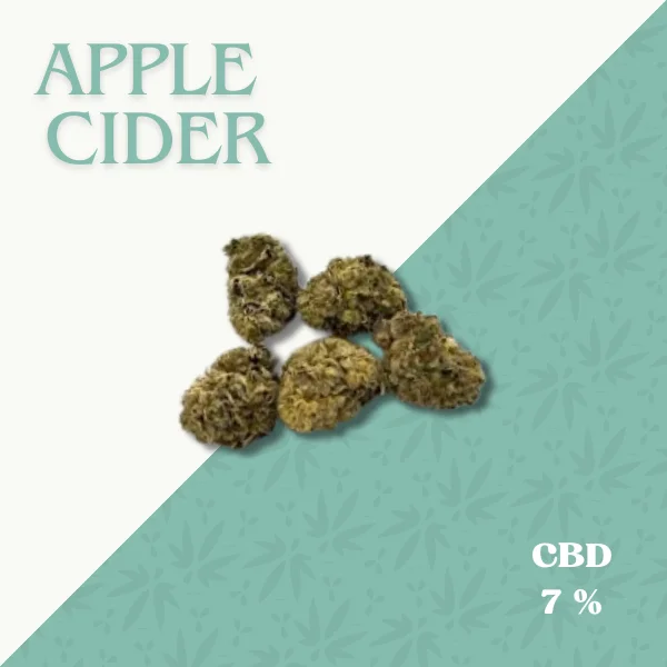 APPLE CIDER