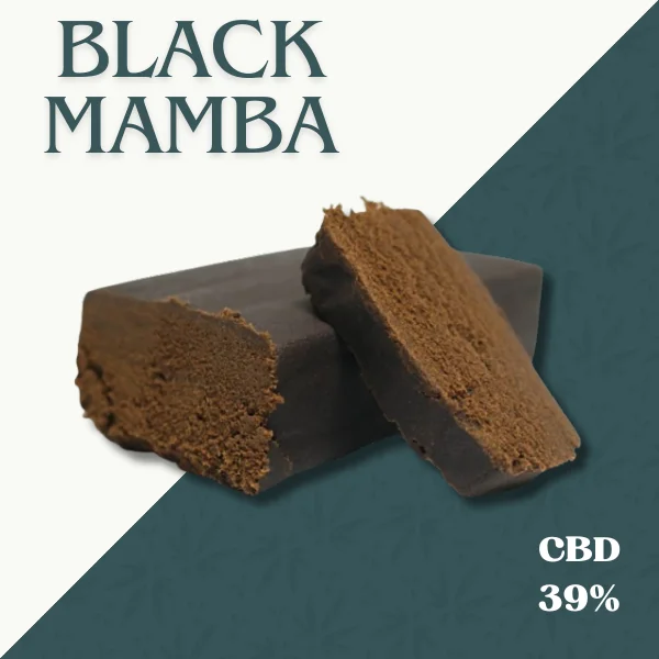 BLACK MAMBA
