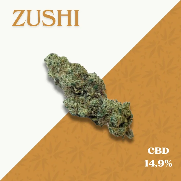 ZUSHI