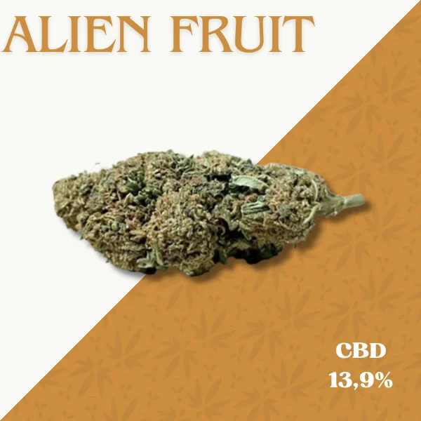 ALIEN FRUIT