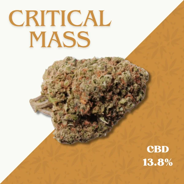 CRITICAL MASS