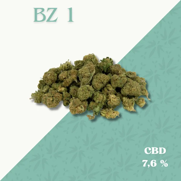 BZ 1