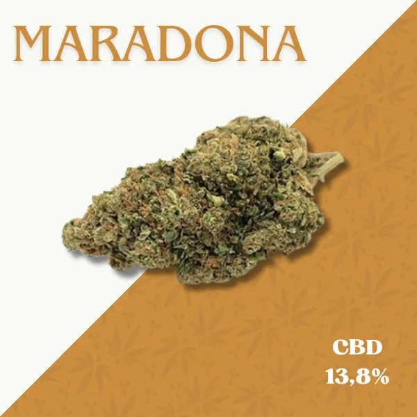 MARADONA
