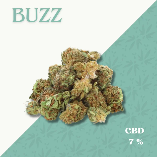 BUZZ