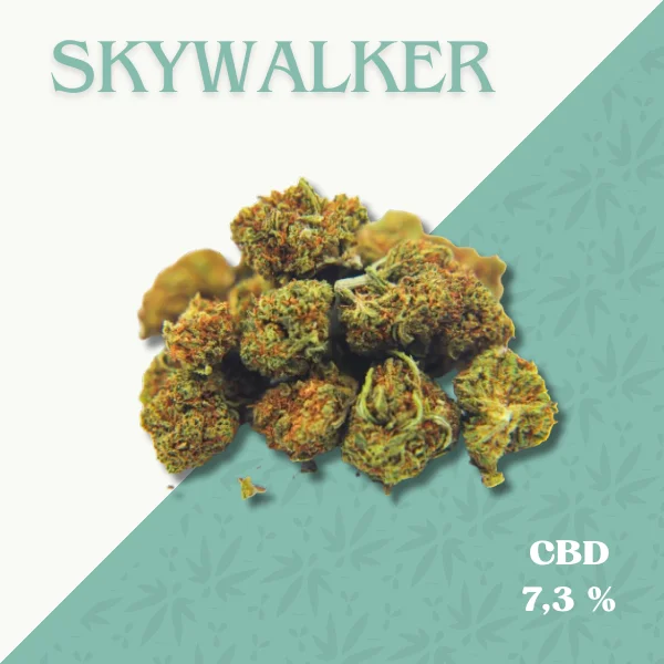 SKYWALKER